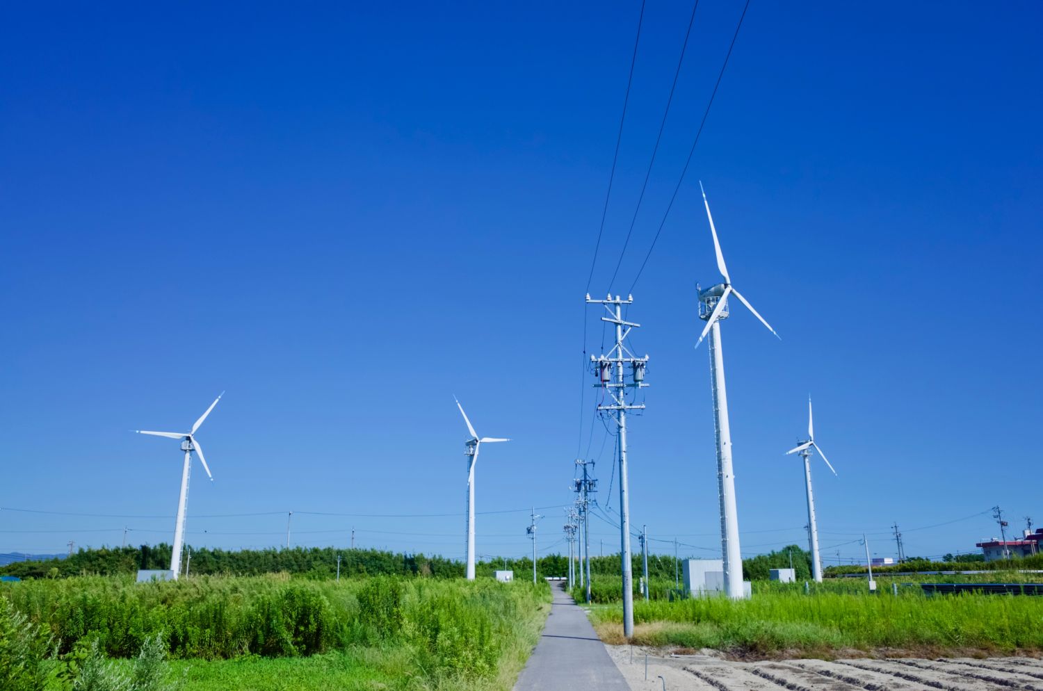 西尾市一色町再生可能エネルギー研究所風力発電所 Calm Tempo