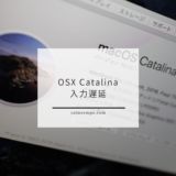 Mac OSX Catalinaから文字入力が激重な件