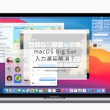 macOS Big Surになって文字入力の遅延が直った！？